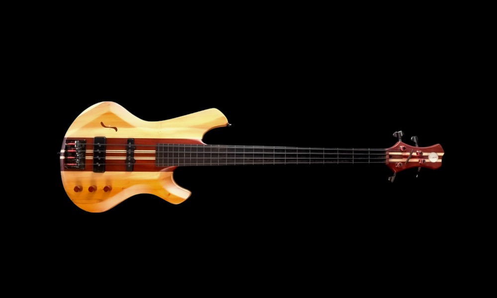 shank-instruments-milano-basso-elettrico-fretless-liuteria-vendita-tasso
